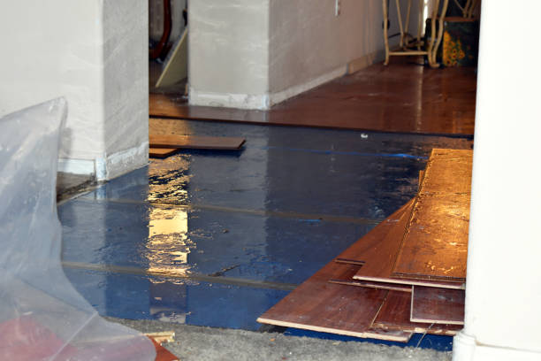 Professional Sewage Cleanup technician working in Dansville, MI
